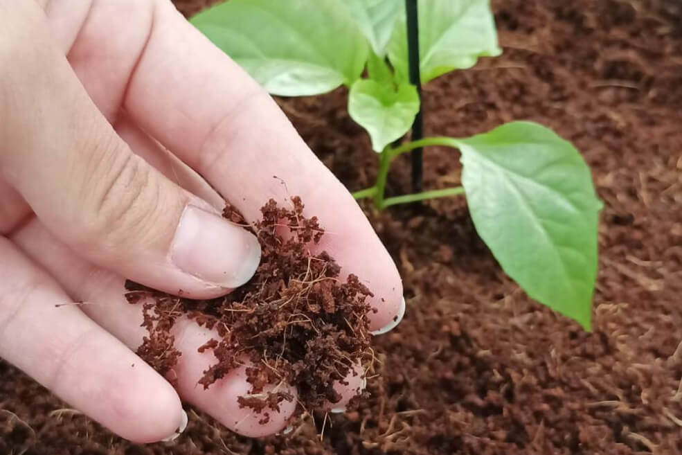 Organska zemlja 50 l