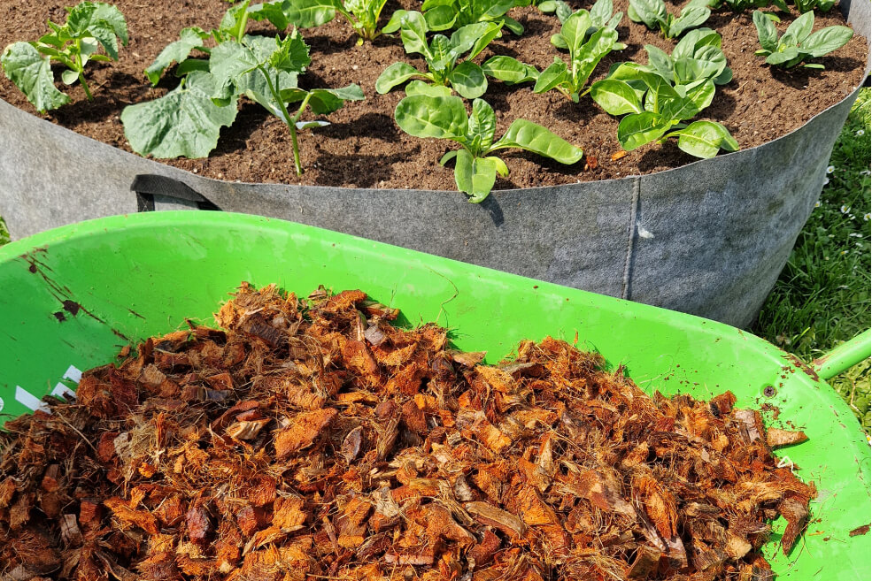 Kora od kokosovih ljuskica