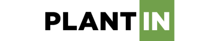 Plant in