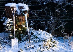 zaštita biljaka od zime