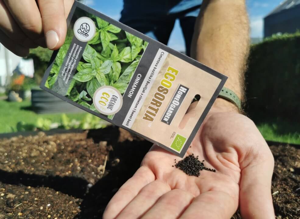 Seme cimetova bazilika.