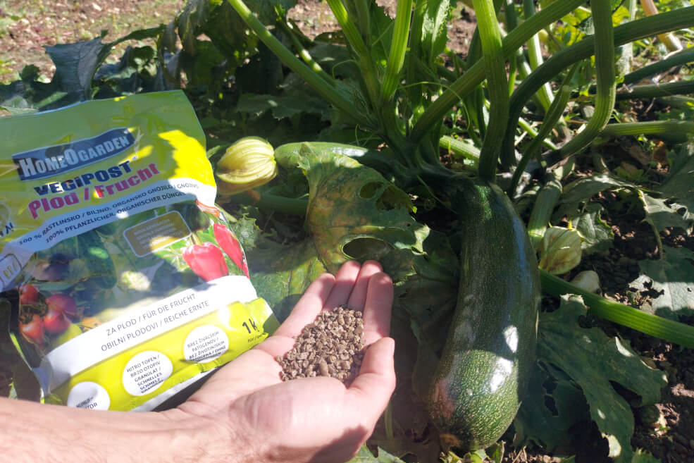 vegipost plod v obliki granul